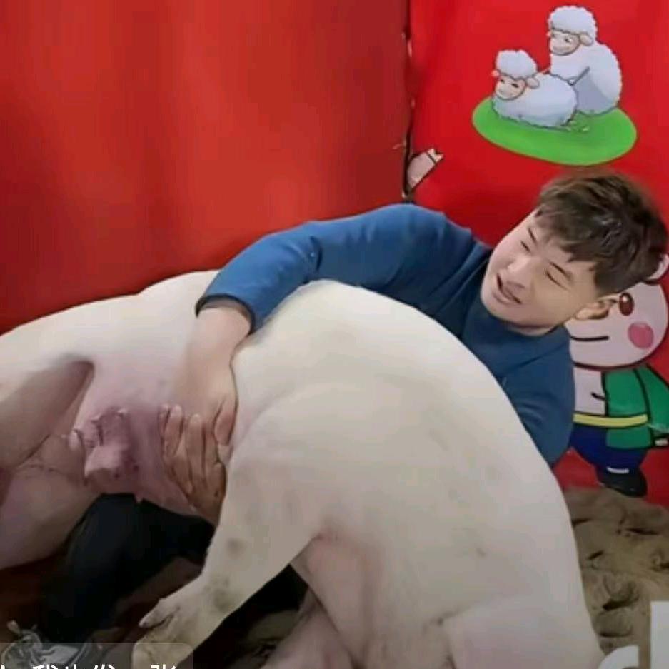 焦作第一申请人。