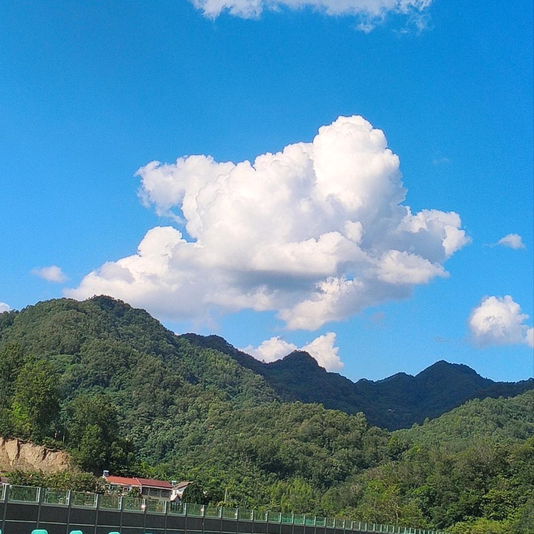 天空任鸟飞