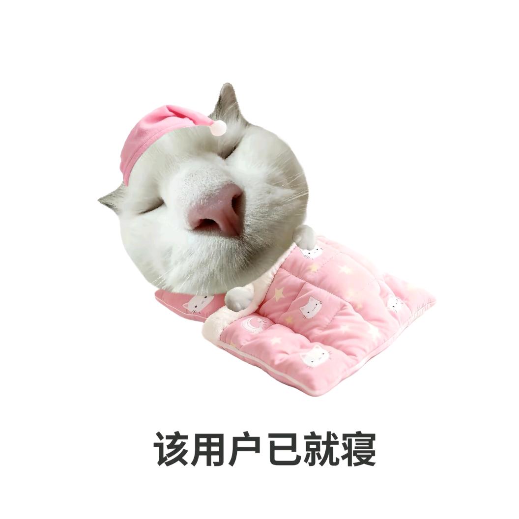 吃西红柿长大的番茄