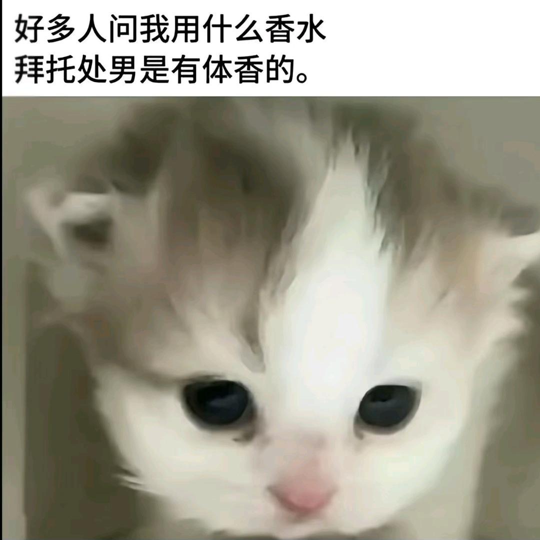 龙泽