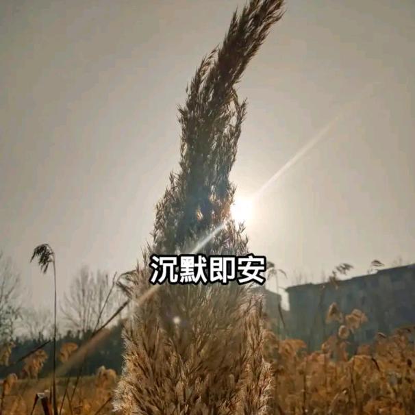 天冷有棉袄