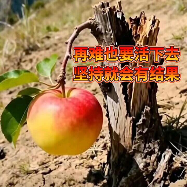 天涯行客