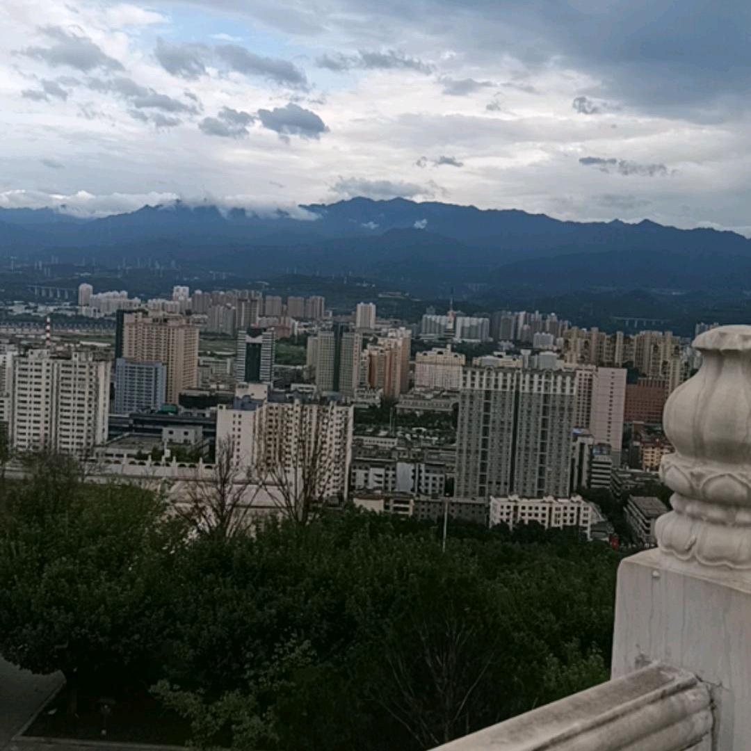 王利萍