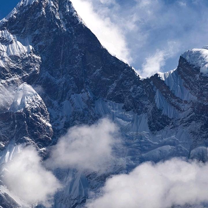 你的选择