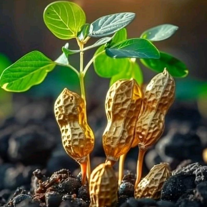 L⊹꙳✧˖iu 祉含