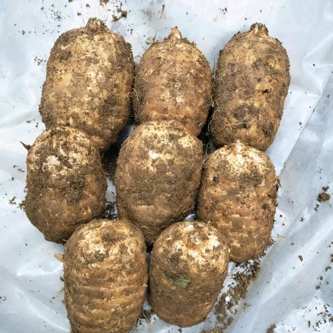 💋ꦿ冷暖自知꧔ꦿ᭄࿐ᩚ