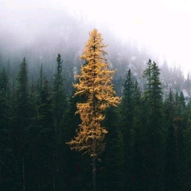 西安倍欧特工业服务外包中心