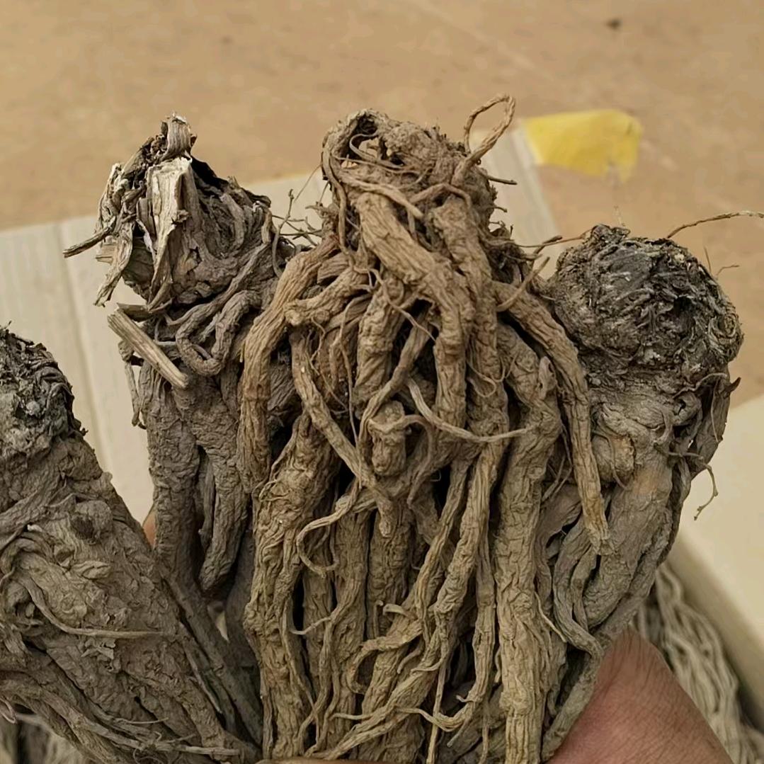 会泽，玛卡，当归，党参，代收，自产自销。