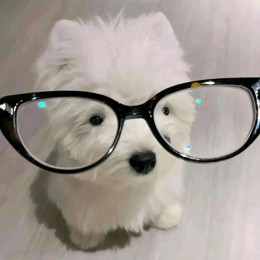 金贵you憶八零！