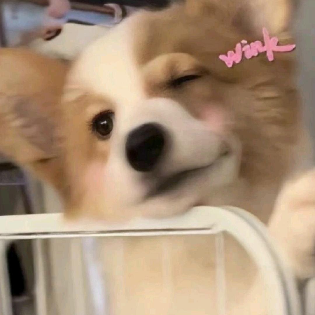 土豆条子