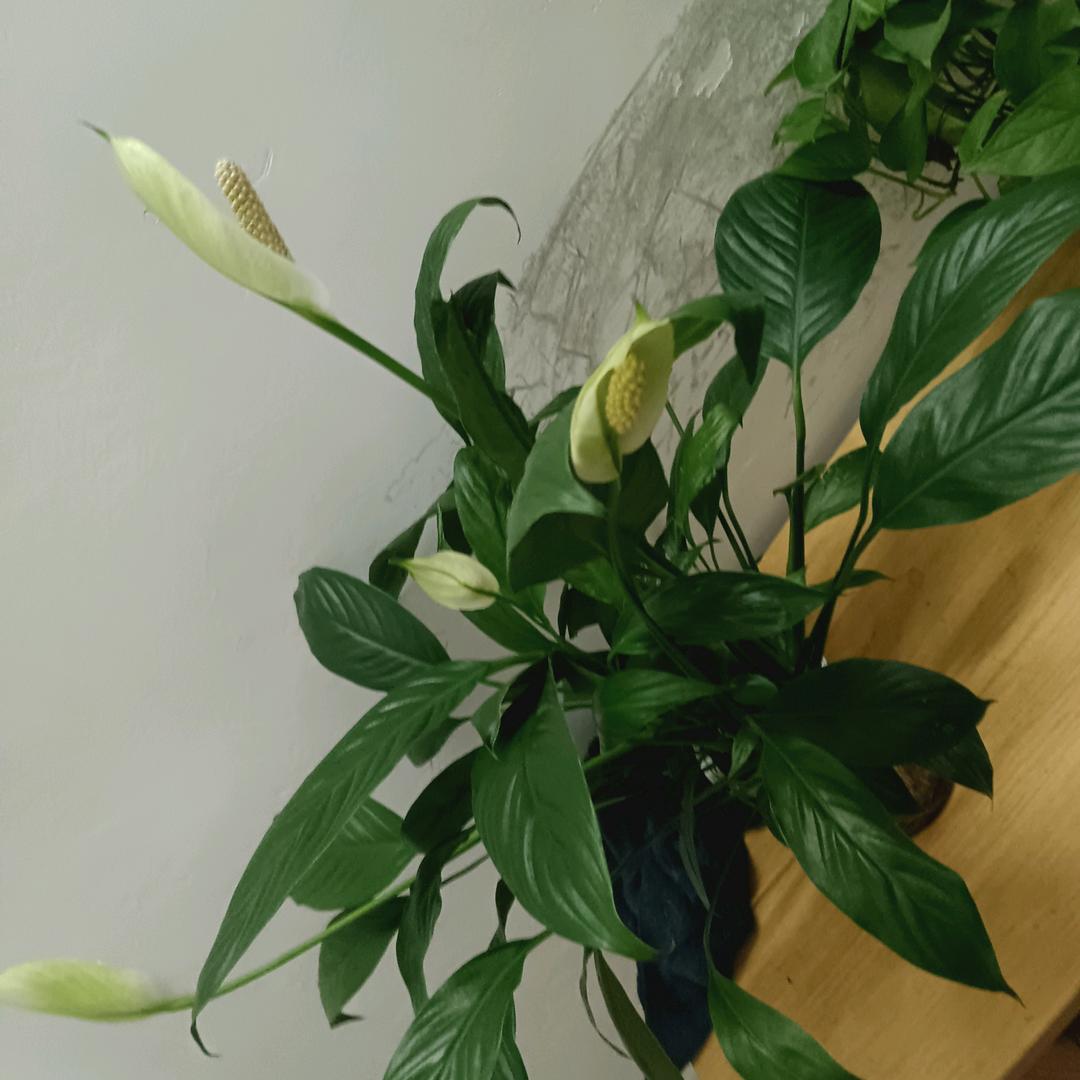 相逢是缘！伴你一生）8059