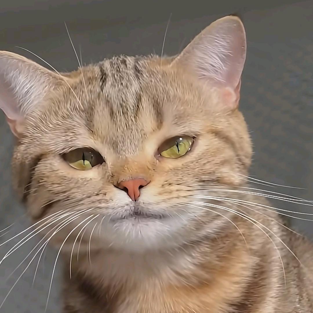 XIA