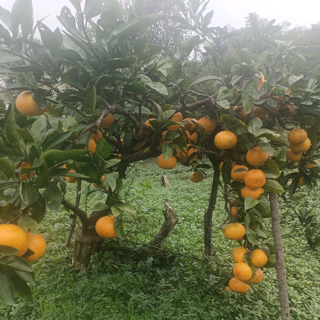 飘游四海，孤孤单单。