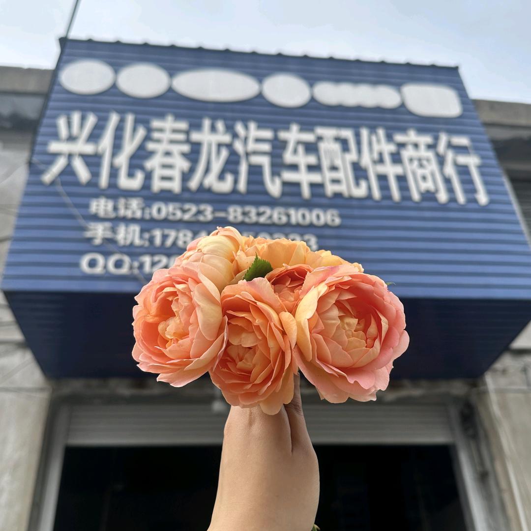 兴化市春龙汽配