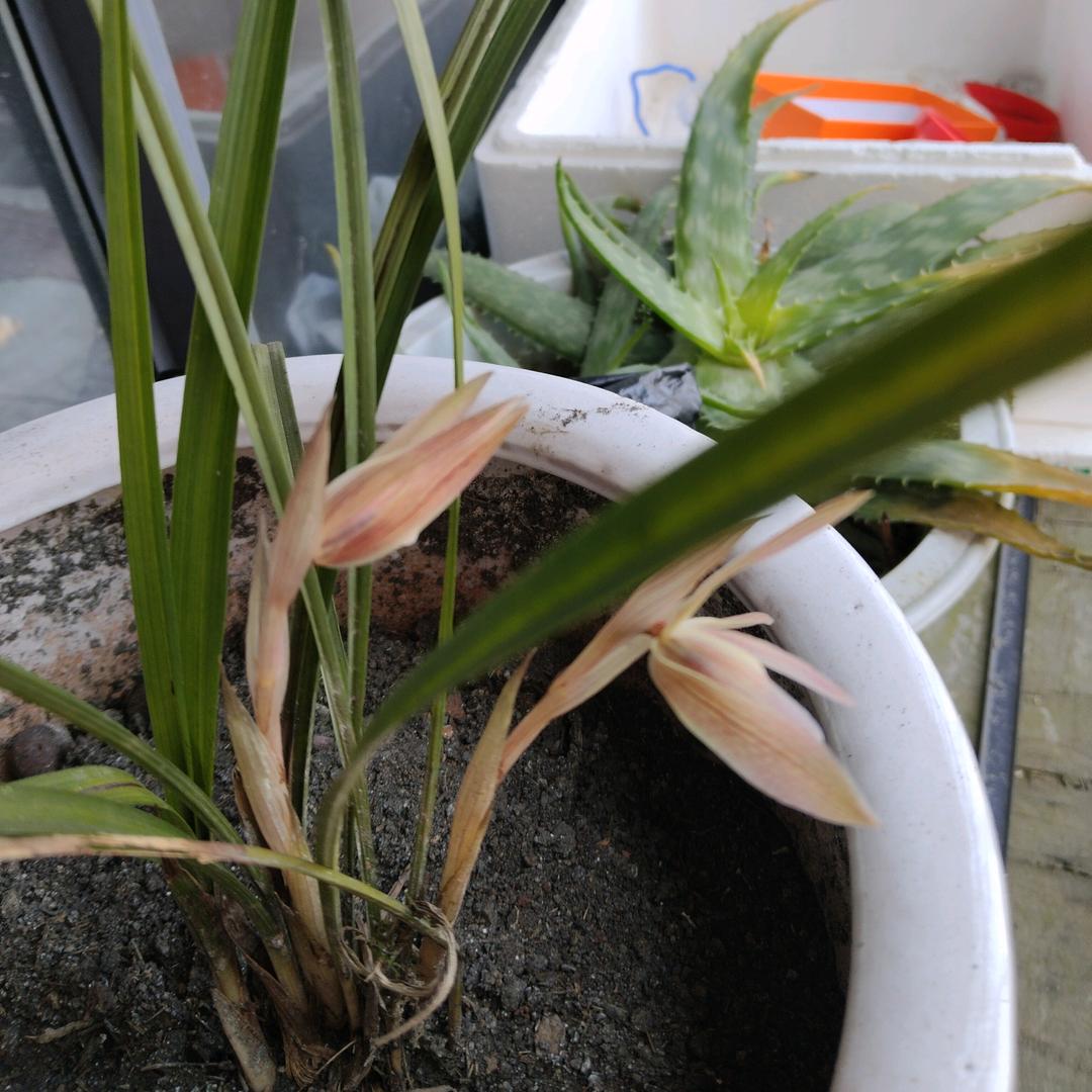 。。。。。。。