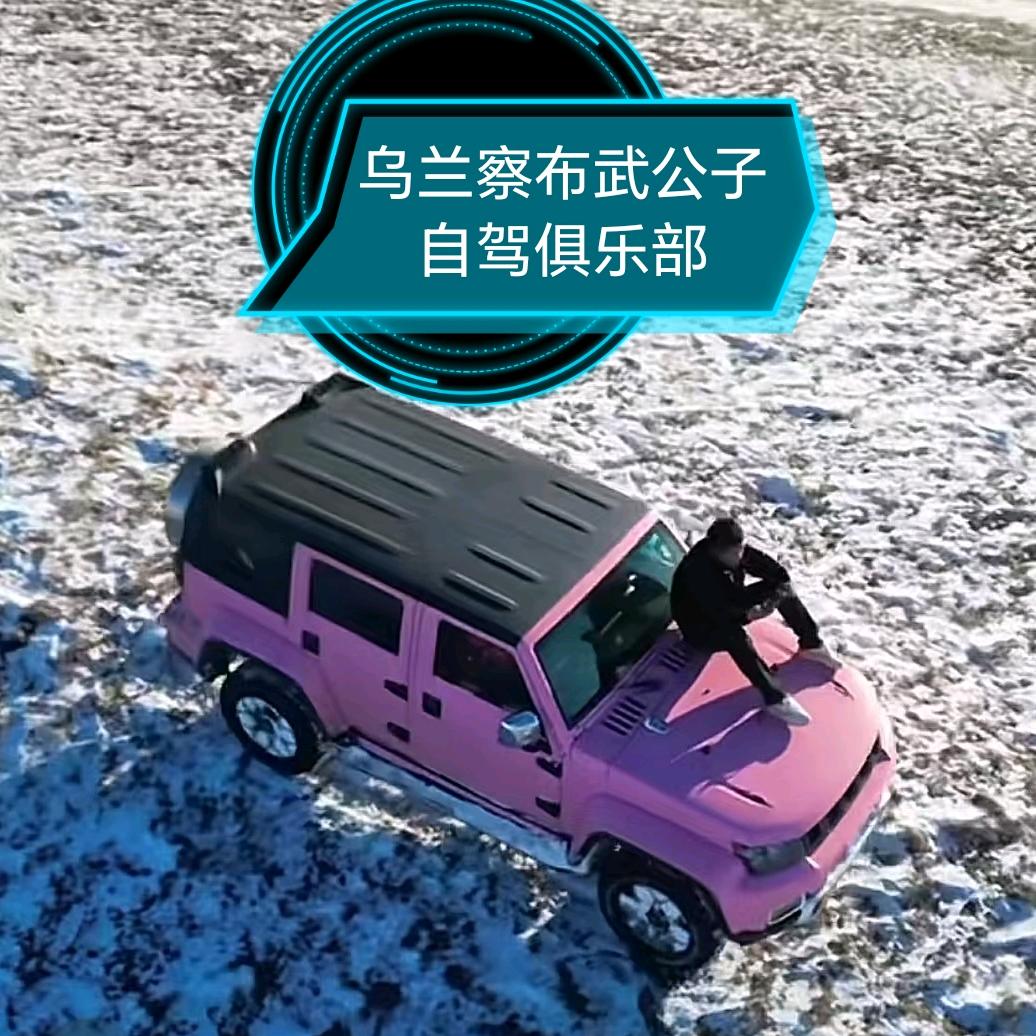 辉腾锡勒草原深度穿越  粉BJ40
