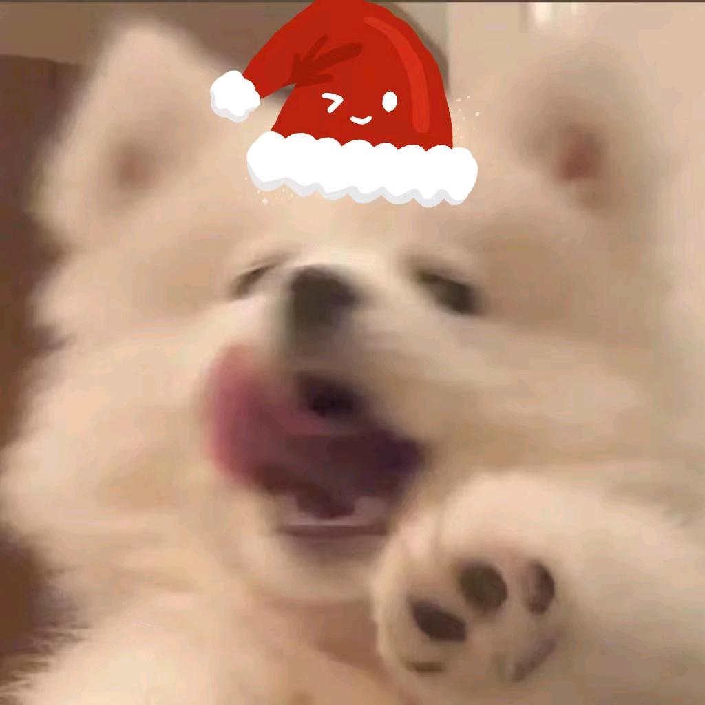 迟遇.
