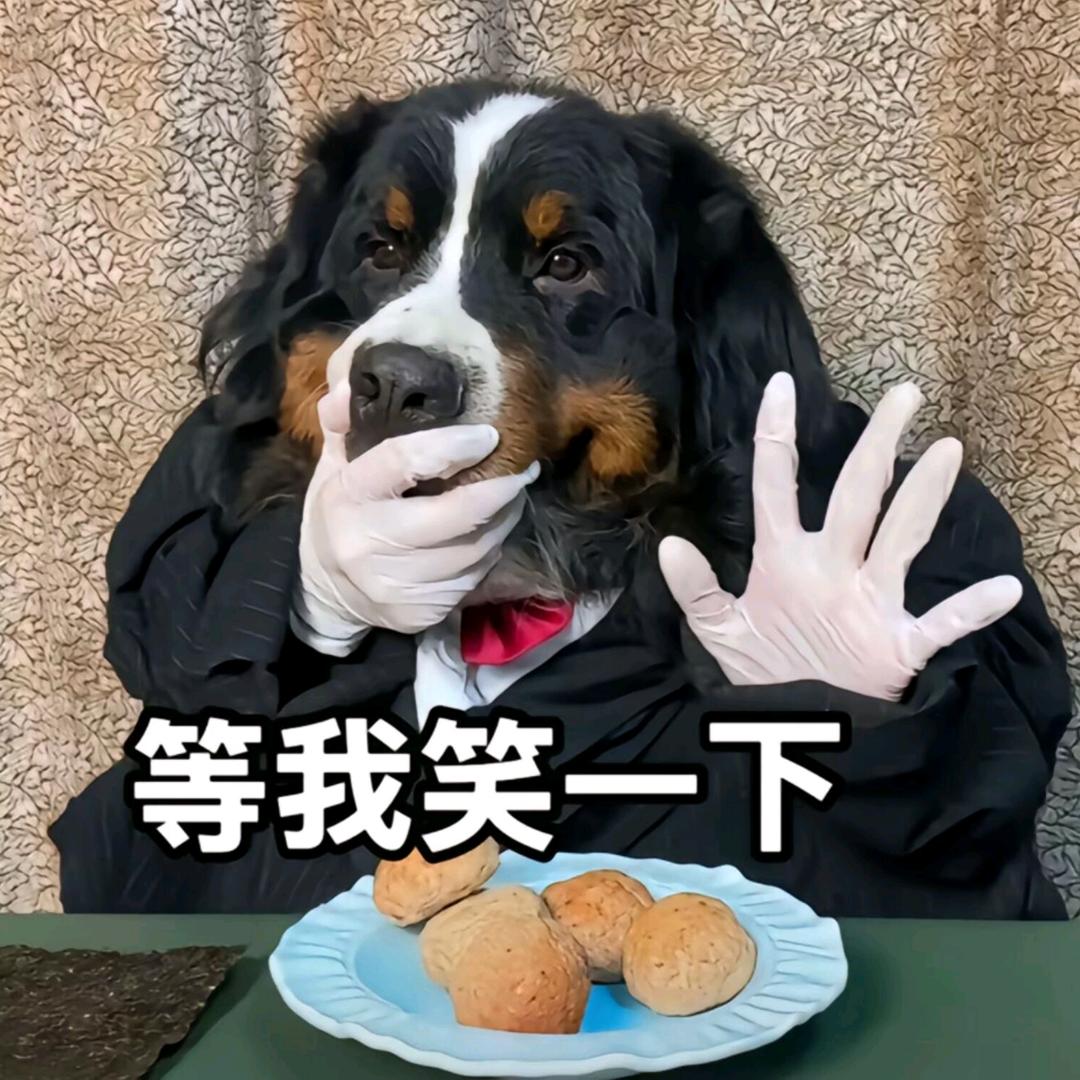 有家室的绝世美老头