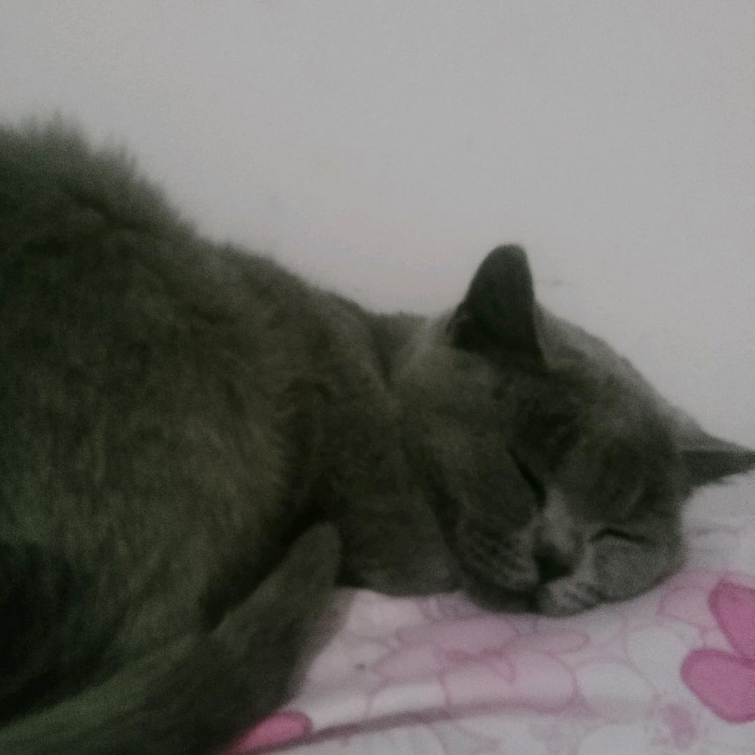 小小短剧