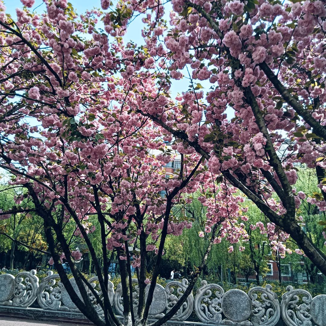 累了💕谁疼