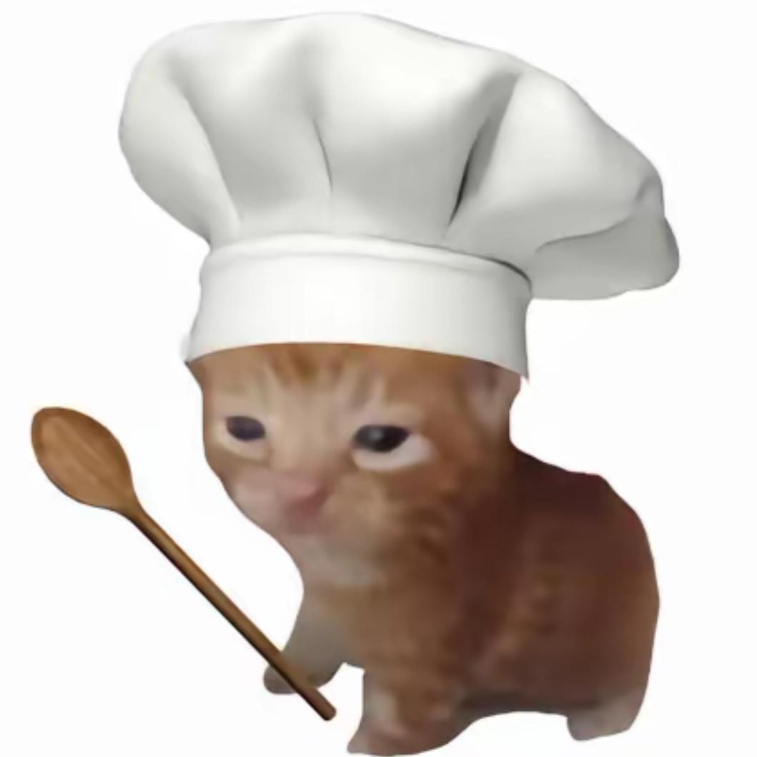 meme猫
