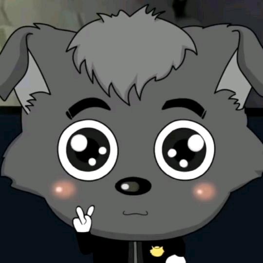 迷路的小灰灰