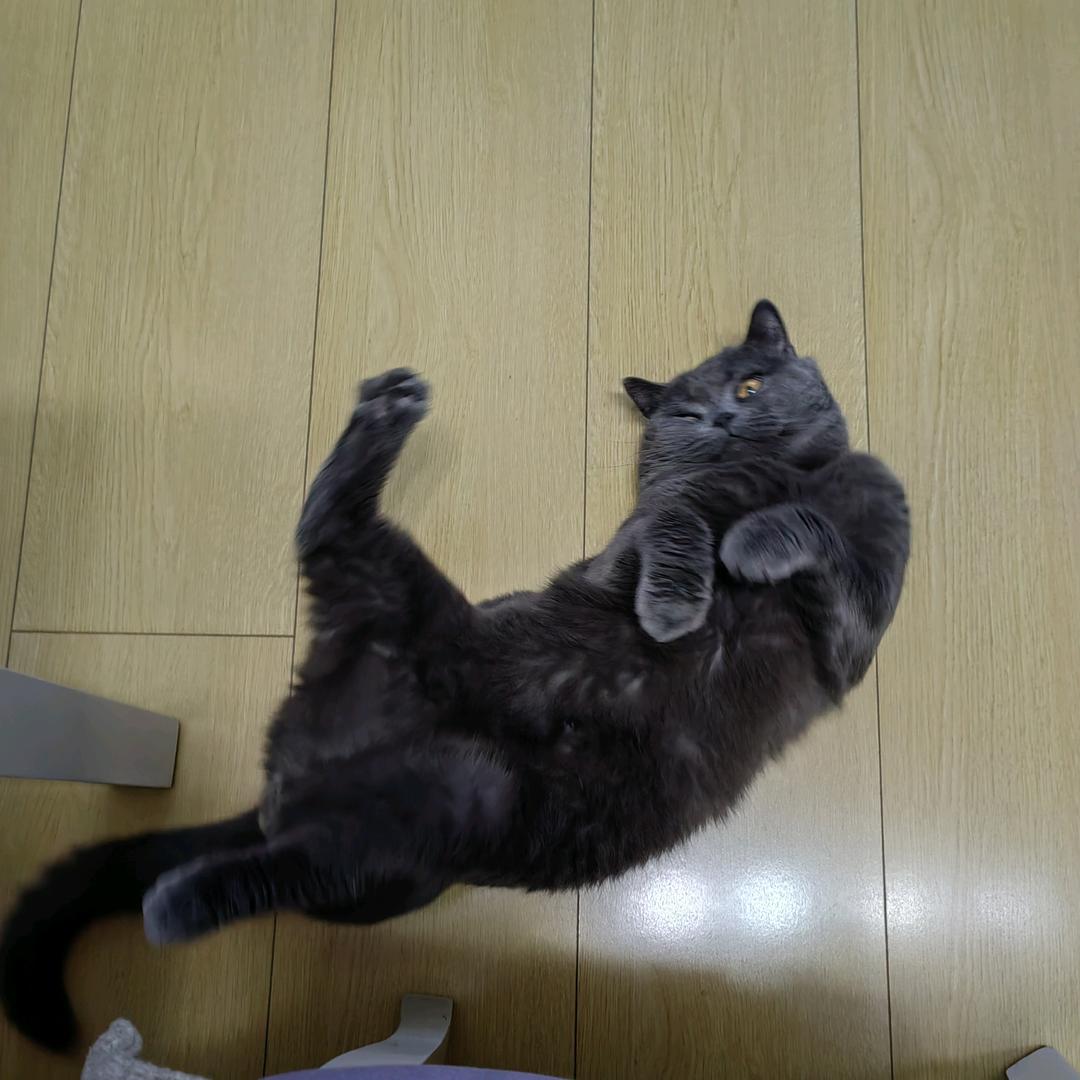 予你