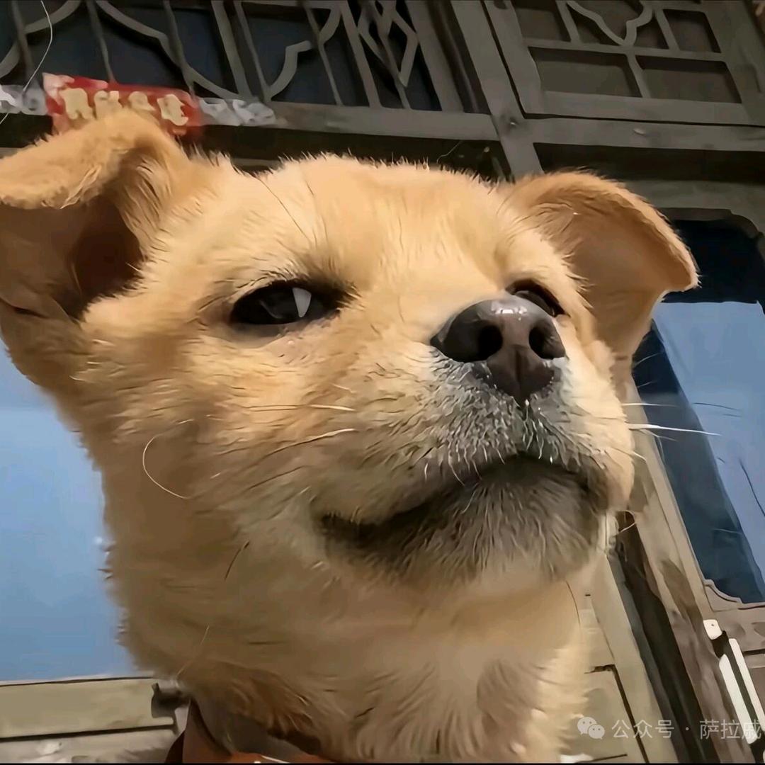 文傅