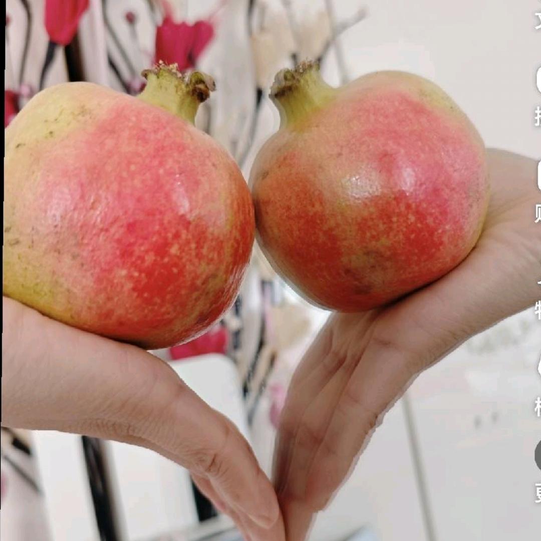 芳
