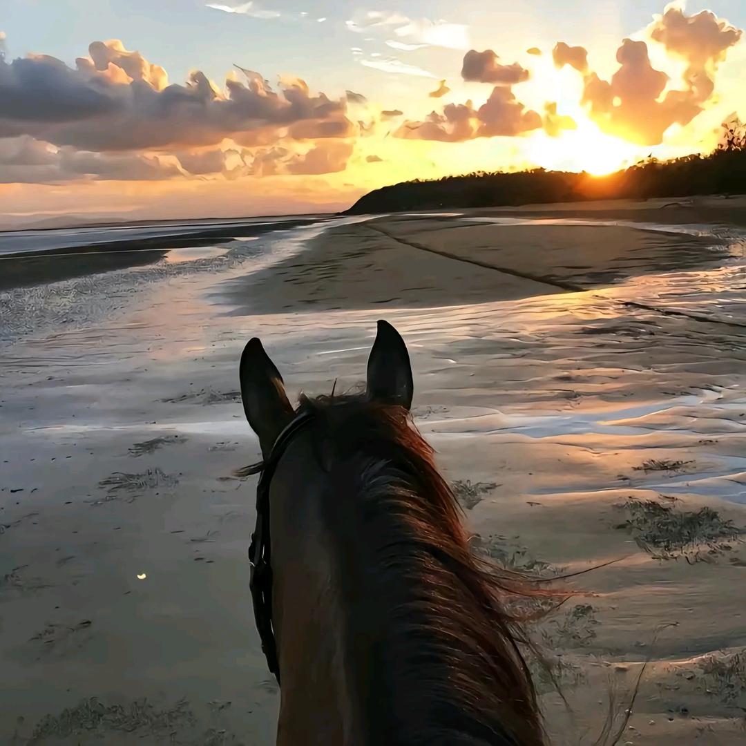 小新带你玩遍东北