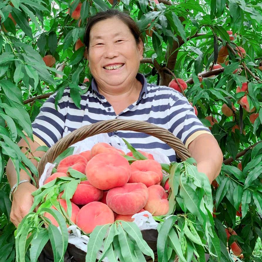 胜利村小杜大桃