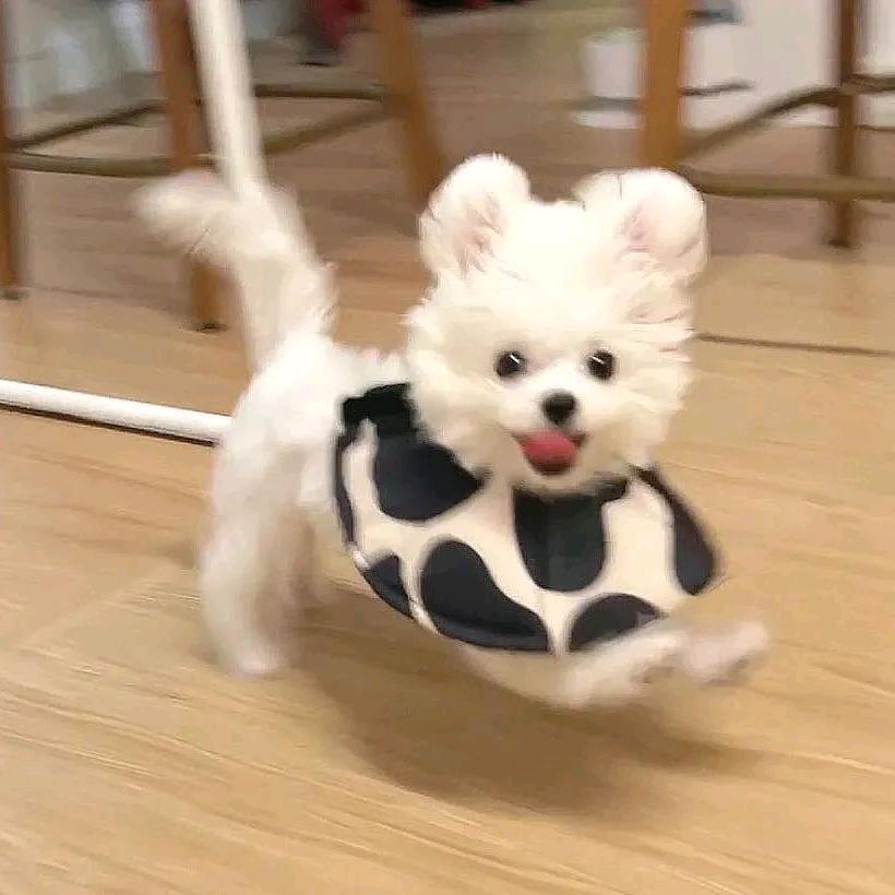 阿泥