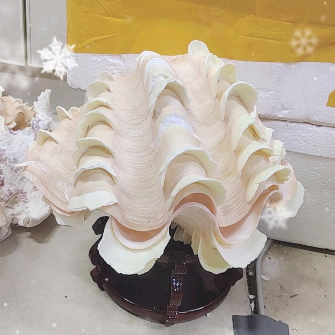 贝之爱贝壳工艺品