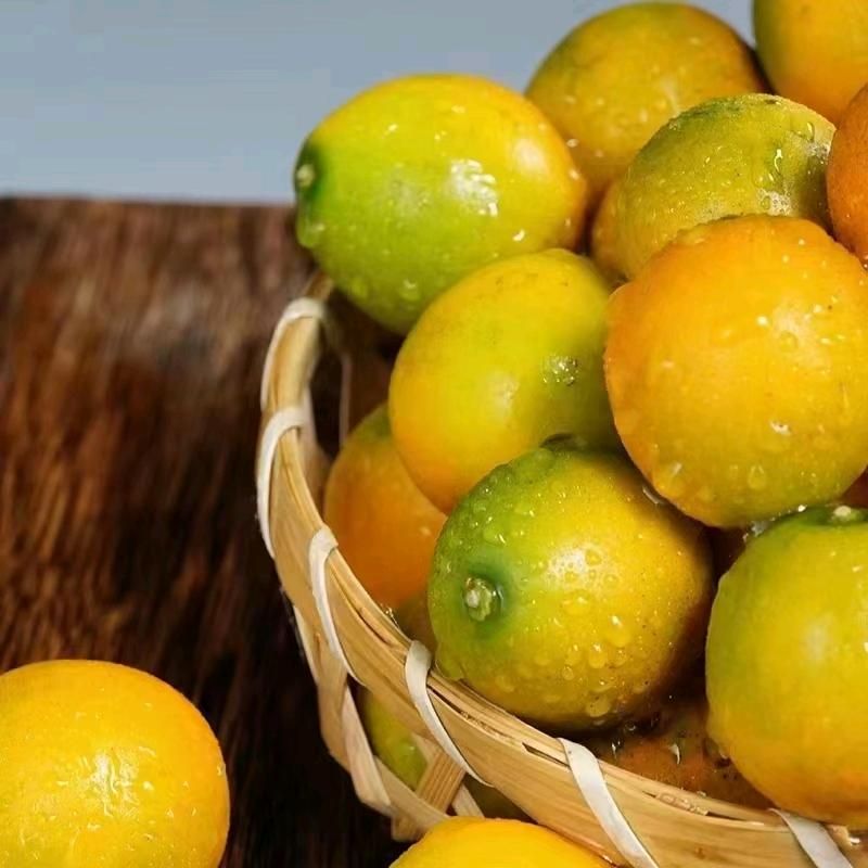 融安顺天金桔果园