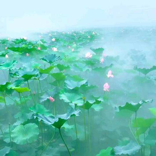 九月