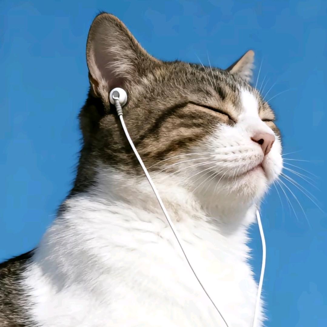 紫蛋菜花汤_🐔