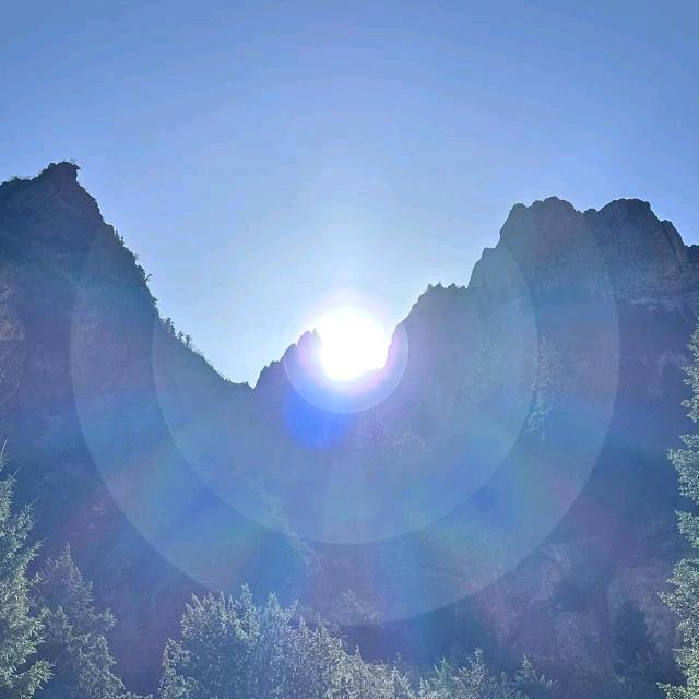 陌凉