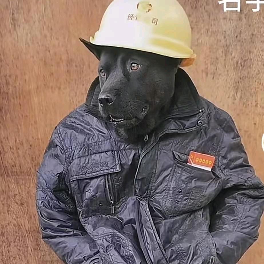 小柴胡