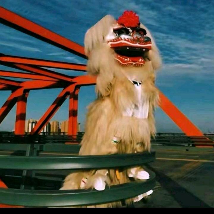 强子文化传媒，鼓王