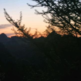 顺其自然