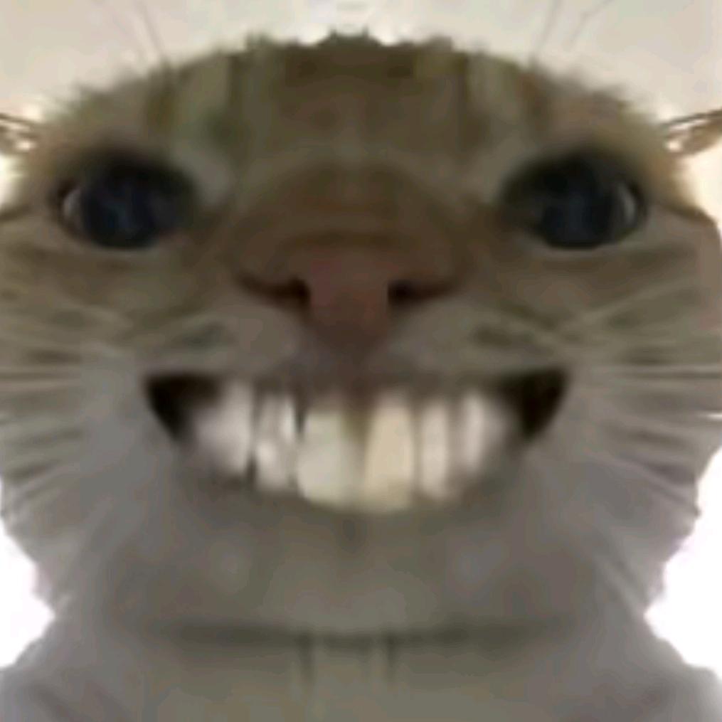 肆肆叁叁