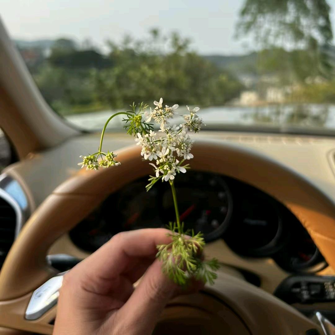 珠