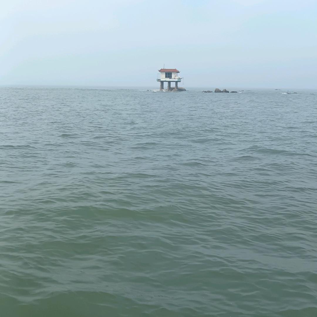 忘情水