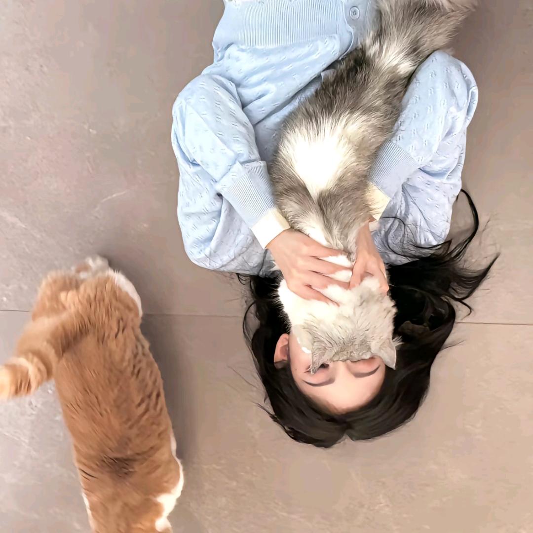 二丸