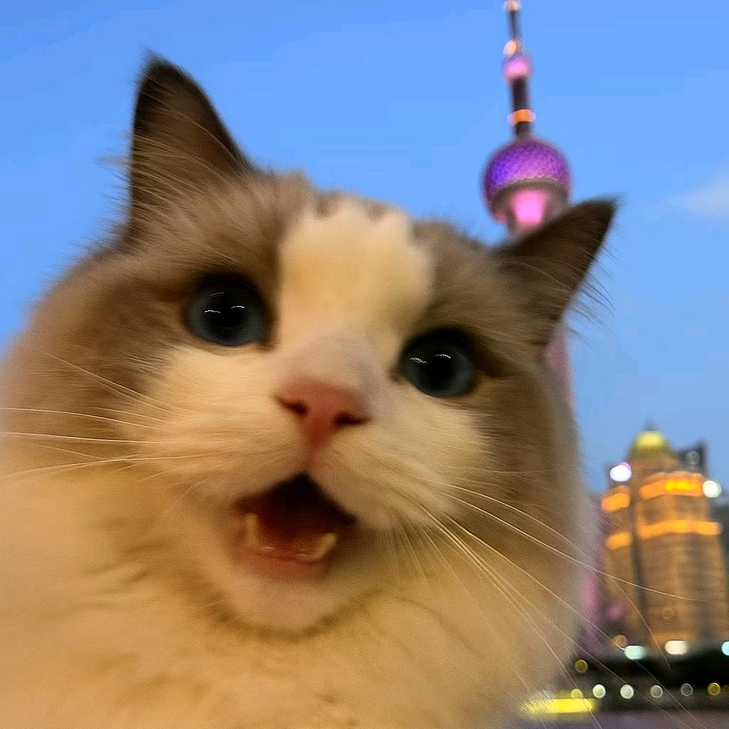 布丁咪咪
