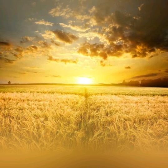 海南法拍服务-小娟