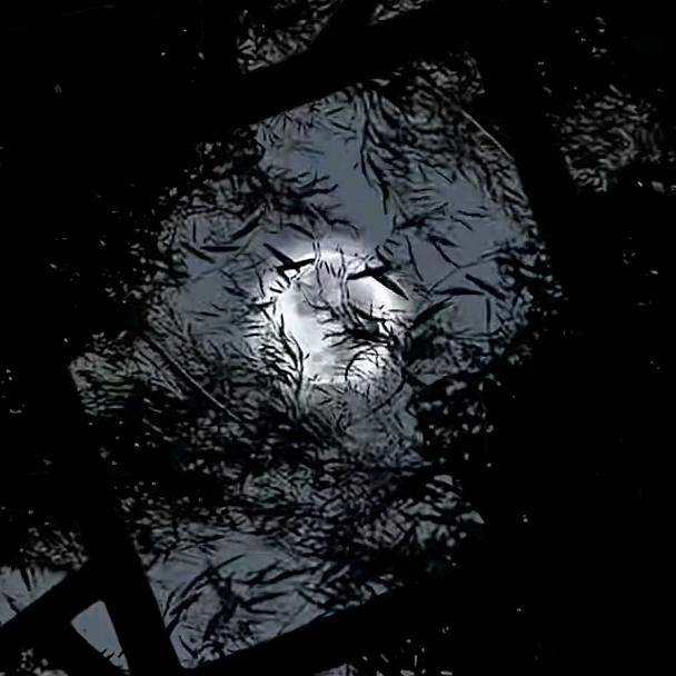 冲锋陷阵的射手