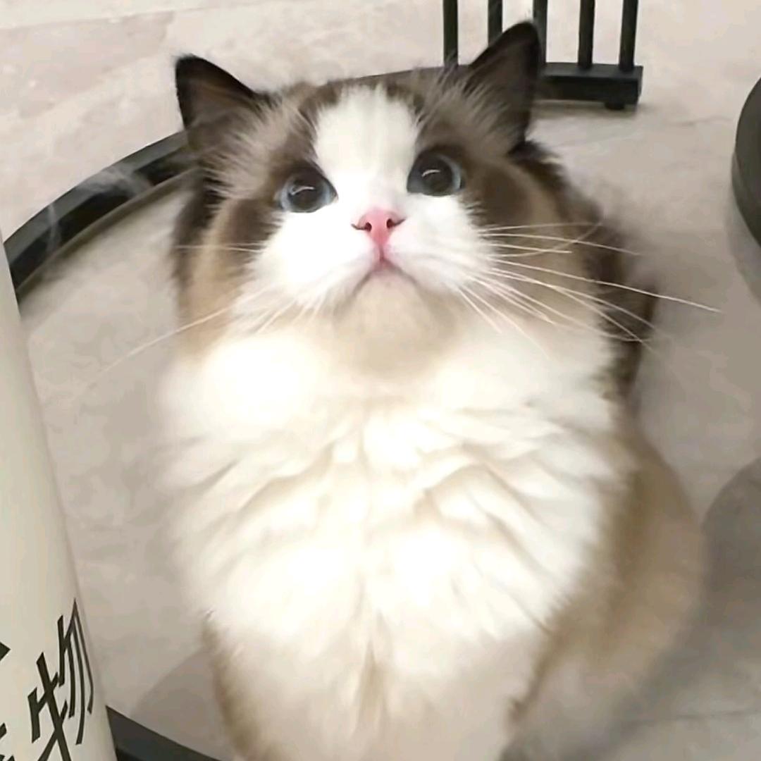 龙渊