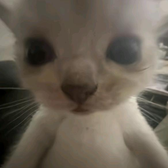 哈哈哈哈哈哈哈哈
