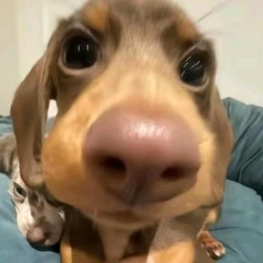 803
